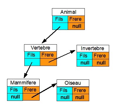 Arbre-Pointeurs.jpg, 36kB